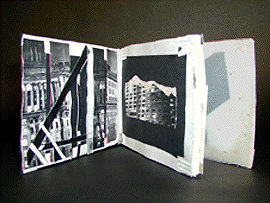 "Love in the City"  artist's book by Elizabeth Almeida