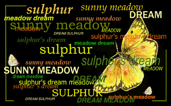 sulphur's dream poem