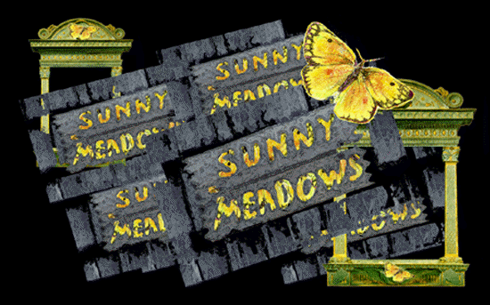 "Sunny Meadow" house
