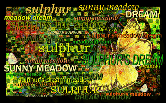 sulphur's woven poem