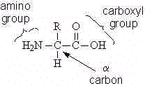 wpe1B.jpg (4556 bytes)