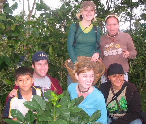 Students in
                Coffee harvest