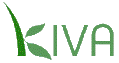Kiva --
                            Microfinance