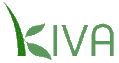 Kiva --
                            Microfinance