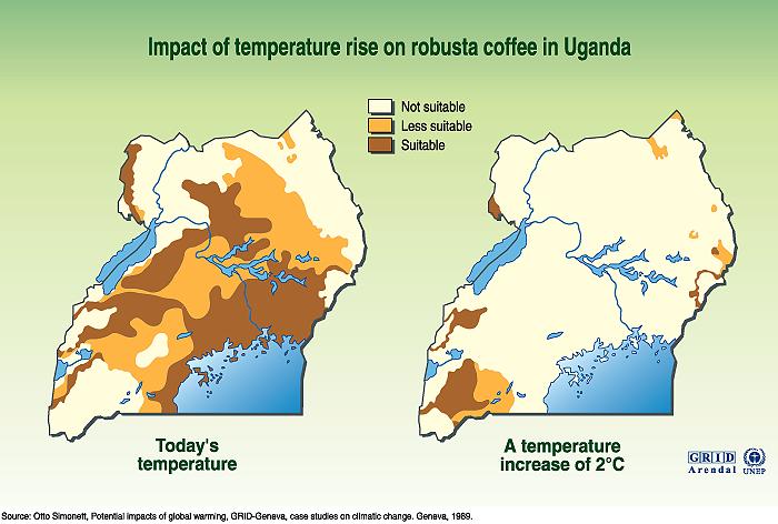 Coffee and climate