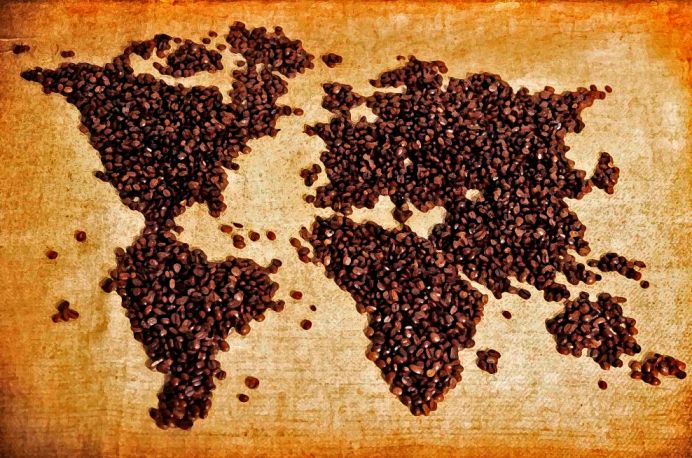 Coffee
                        Map