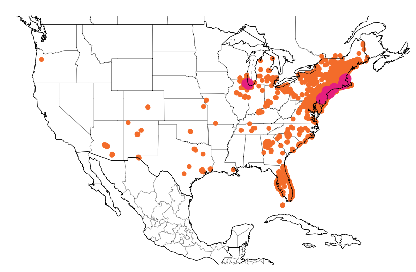 Dunkin Donuts Map
        -- United States