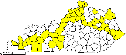 Kentucky+map+with+counties