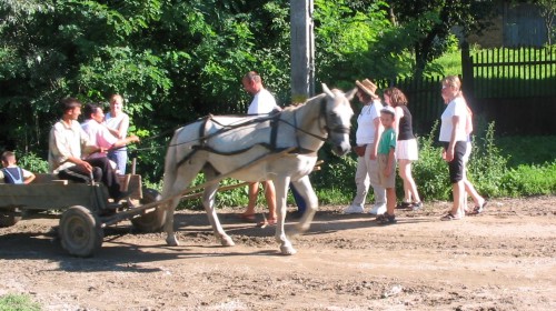 Horse cart