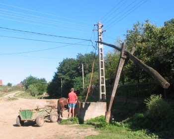 Horse at well