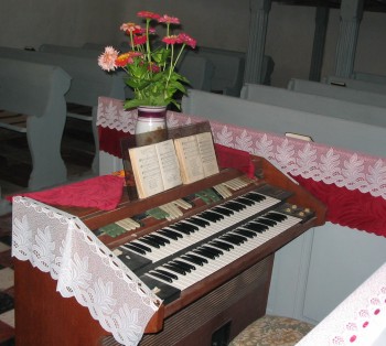 Organ