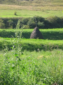 Haystacks