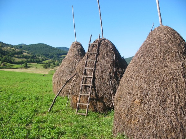 Haystacks