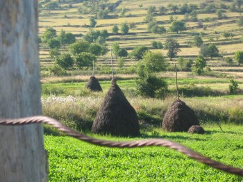 Haystacks