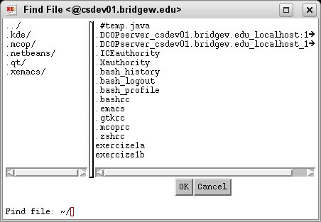 xemacs file open dialog prompting for the java file name