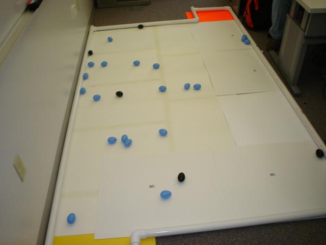 game board setup.
