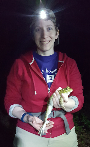 Caitlin holding a large bullfrog at night during the 2017 Macaulay Honors College BioBlitz. Alley Pond Park, Queens, NY. September 2017. Photo by Gloria Cheang.