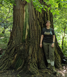 Caitlin in front of an large, old-growth tulip tree, Liriodendron tulipifera. Inwood Hill Park, New York, NY. July 2018. Photo by Kelly O'Donnell.