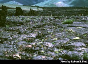 Click for more images